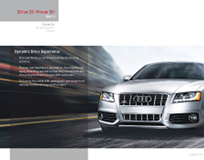 Audi infographics