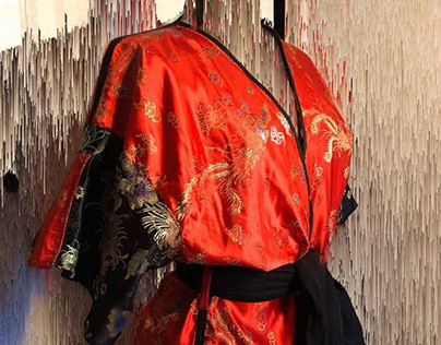 Japanese Brocade Robe