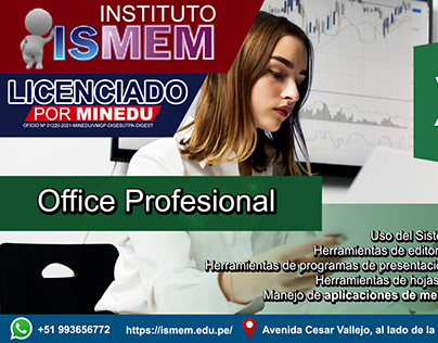Ms Excel Profesional