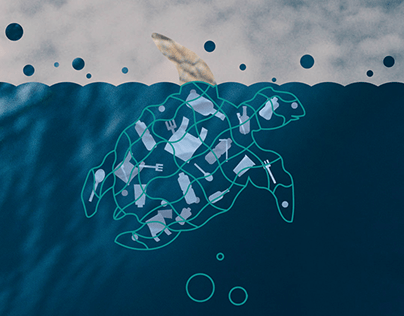 Ocean Conservation illustration