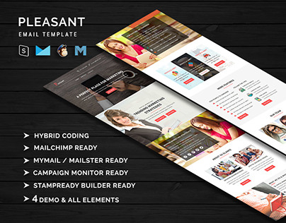 Pleasant - Business & Marketing Email Templates With On