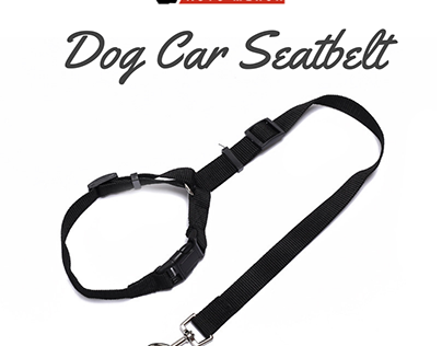 Dog Car Seatbelt