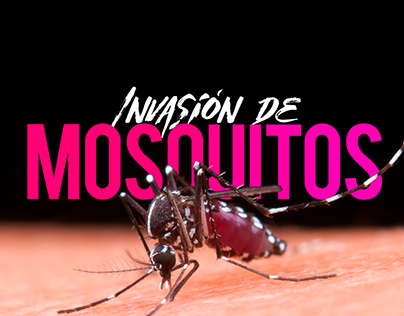 Invasión de Mosquitos