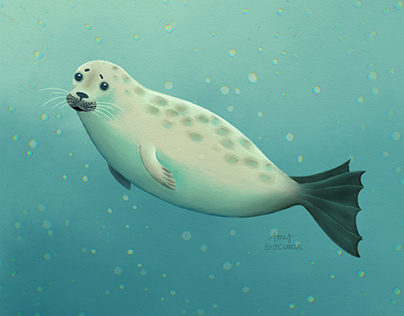 Seal Friend