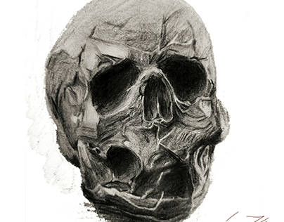 Project thumbnail - Skull