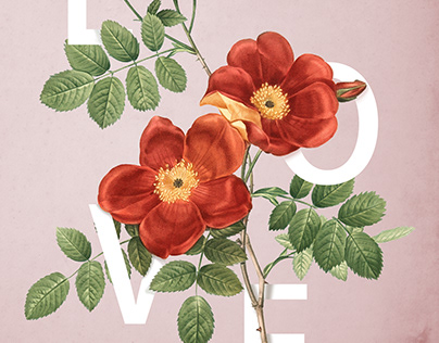 Love & Flowers