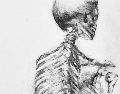 Skeletal Study Drawing