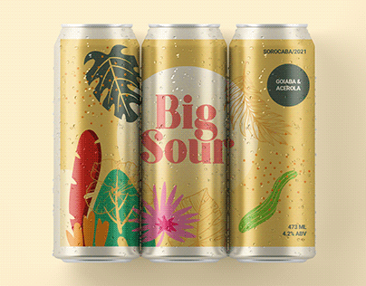 Cerveja Big Sour - Pineal