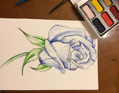 Rose - watercolor