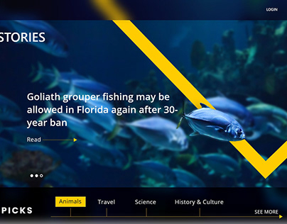 National Geographic web page concept design