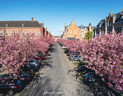 Ghent - Springtime - April 2022