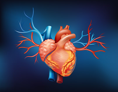 Tips For Maintaining Heart Health