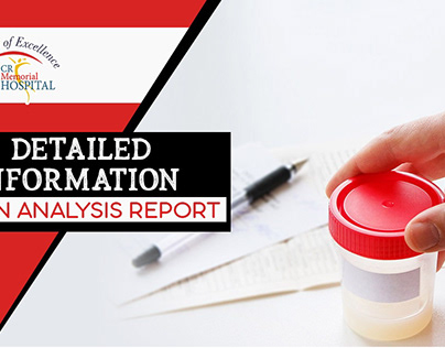 Understanding of your Semen Analysis Report