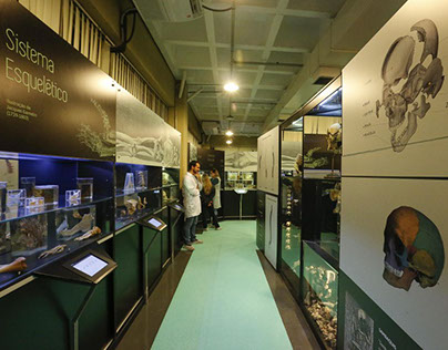 Design Expografia | Museu de Anatomia Humana USP (MAH)