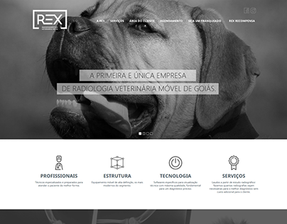 Website Responsivo ReX