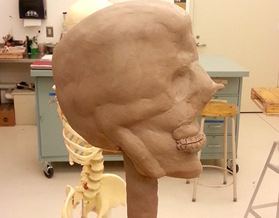 Skull Sculpting