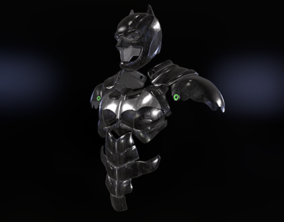 Batman Armor Suit