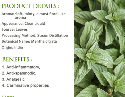 Pure and Natural Bergamot Mint Essential Oil