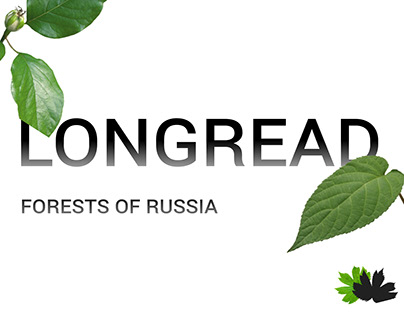 Longread | Forests of Russia