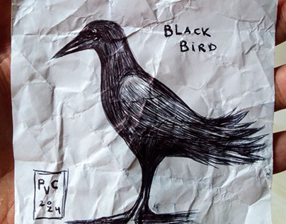 Project thumbnail - Black Bird by PaulCamell713