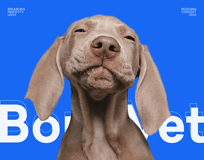 BondVet veterinary clinic | Redesign Concept