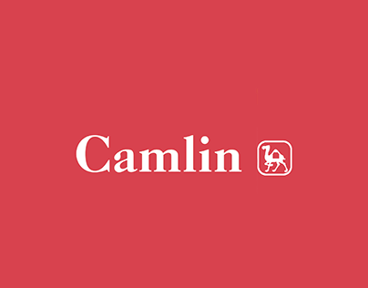 Camlin ad campaign