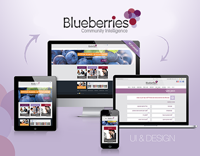 Blueberries - social statistics panel