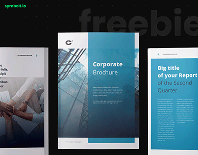 Free Indesign Template Financial Report On Behance