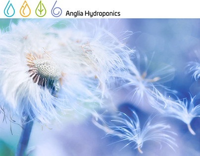 Anglia Hydroponics website