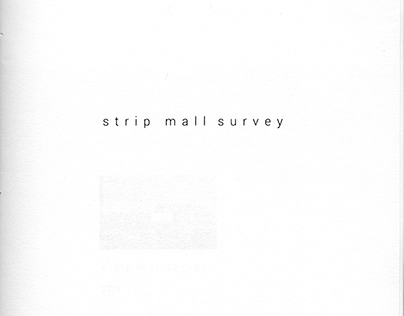 strip mall survey