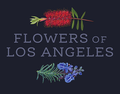 Illustration serie — Flowers of Los Angeles