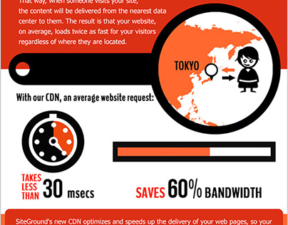 Infographic for Siteground 2010