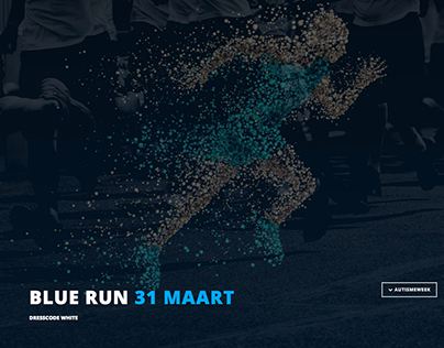 Blue Run - Webdesign www.bluerunburgum.nl