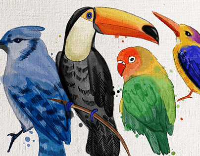 Digital Watercolor Studies | Birds and Florals
