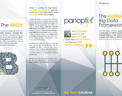 Brand Print Collateral: Panoptix Brochure