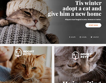 Adopt Pets web banner services