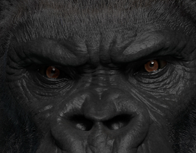 Work in progress : Gorilla bust