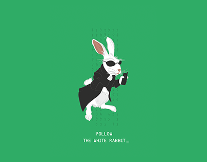 Follow the White Rabbit