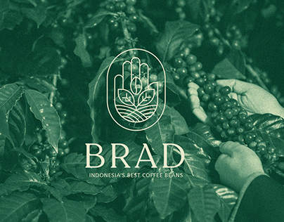 Branding - Brad Coffee