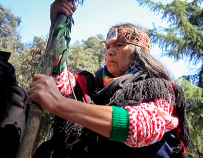 Resistencia Mapuche