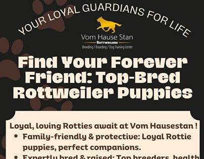 Find Your Forever Friend: Top-Bred Rottweiler Puppies
