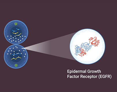 Cell Proliferation (E-Learning video)