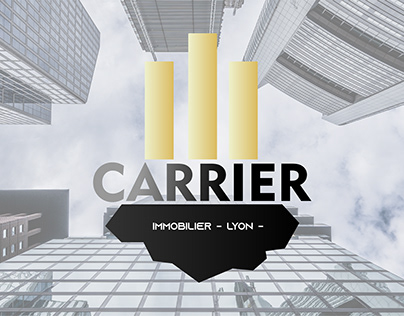 Immobilier carrier