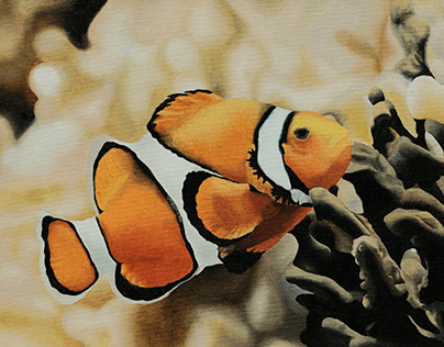 Clownfish Oil Painting