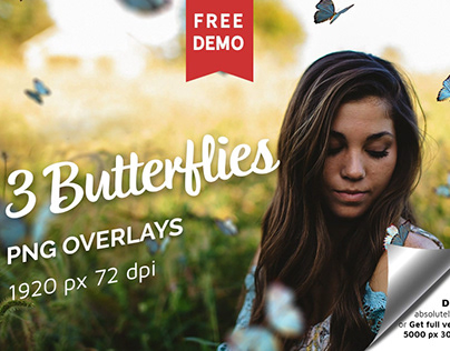 Free Butterflies Photo Overlays