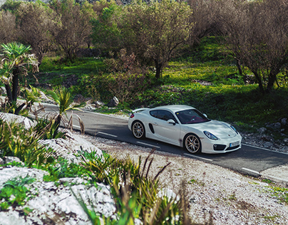 Porsche Cayman 981