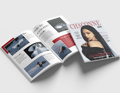Dergi ve Dergi Kapağı Tasarımı