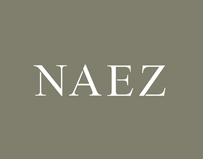 NAEZ logo moodboard