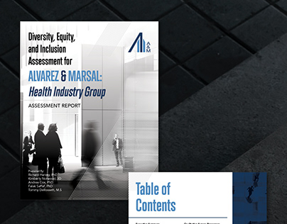 Alvarez & Marsal | Assessment Report