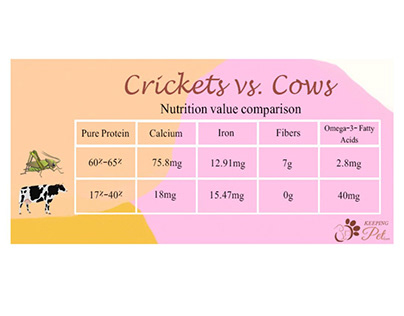 Crickets vs. Cows